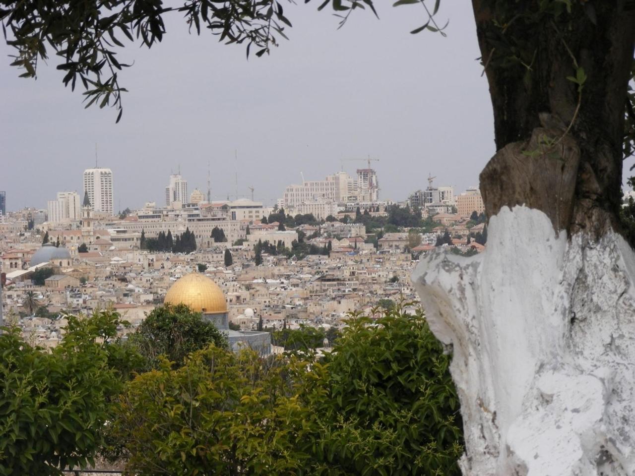 שבע קשתות
